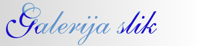Galerija slik